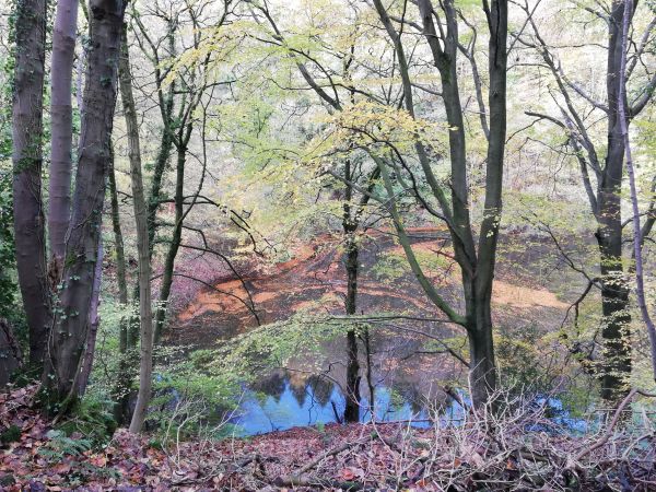 Fancy Dam in Two Dales